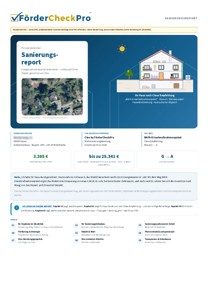 Originalseite 1 des Cleo-Musterreports: Deckblatt